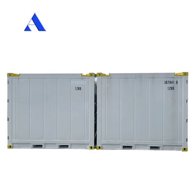 10 Feet DNV 2.7-1 Standard Container Freezer Frozen Offshore Refrigerated Reefer with CSC Certificate and Sling Leg Angle Max 45 degree