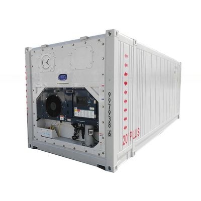 Customized Dimension 23ft BV Certified Refrigerator Storage Container -30- 30C Temperature Range 380/440V