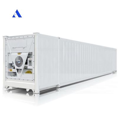 53ft Refrigerated Freezer Cold Storage Room 53 feet 53 ft Reefer Containers in Dubai Lowest Temperature -30 C