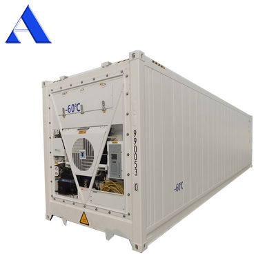 40ft Reefer Deep Blast Feezer Containers Polyurethane Insulated Thermo King Refrigerator for 60 Degree Fresh Tuna Storage