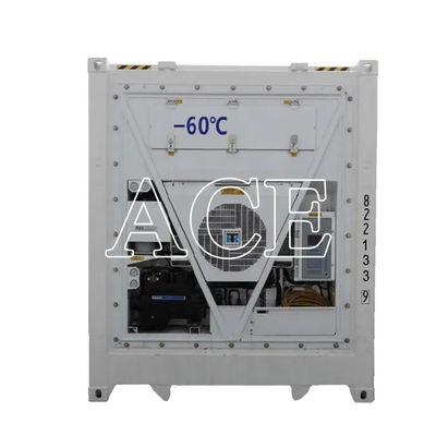 40ft Reefer Deep Blast Feezer Containers Polyurethane Insulated Thermo King Refrigerator for 60 Degree Fresh Tuna Storage