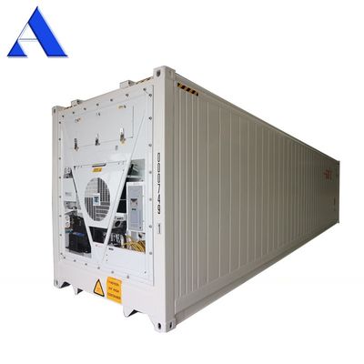 40ft Reefer Deep Blast Feezer Containers Polyurethane Insulated Thermo King Refrigerator for 60 Degree Fresh Tuna Storage