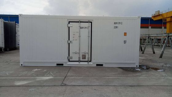 Carrier Cooler 20ft Reefer Container with Side Door Aluminum Bottom Thermo King Refrigerated Freezer