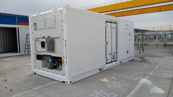 Carrier Cooler 20ft Reefer Container with Side Door Aluminum Bottom Thermo King Refrigerated Freezer