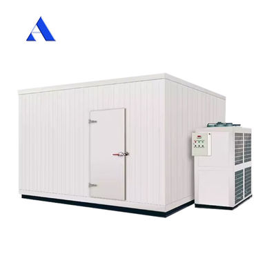 2.8x2x2.2m Mini Portable Cold Storage Room with Aluminum T-Bar Floor and MGSS Outside Wall