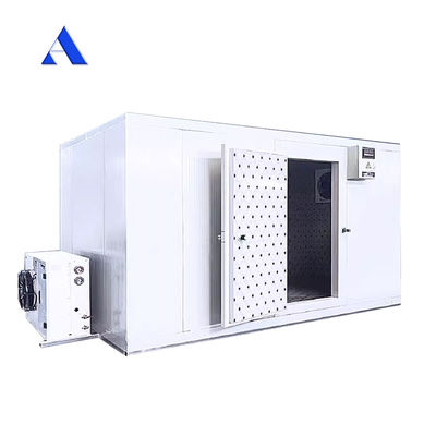 Stainless Steel Inside Wall 40ft x 20ft Dual Temperature Chiller and Freezer Container Cold Room for Storage Reefer Container