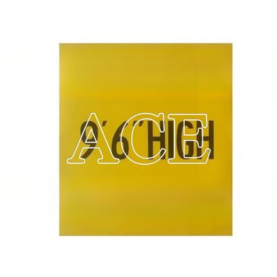 Acceptable Zebra Mark Weight Elevation Triangle Warning Shipping Container Decal Sticker Container Parts and Accessories