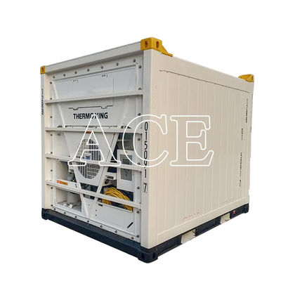 10ft Offshore Refrigerated Container CSC/BV Certificates Made of Steel and Aluminium with Aluminium T-Bar Floor
