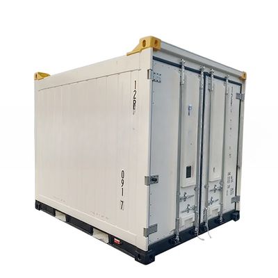 10ft Offshore Refrigerated Container CSC/BV Certificates Made of Steel and Aluminium with Aluminium T-Bar Floor