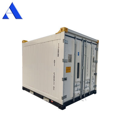 10ft Offshore Refrigerated Container CSC/BV Certificates Made of Steel and Aluminium with Aluminium T-Bar Floor