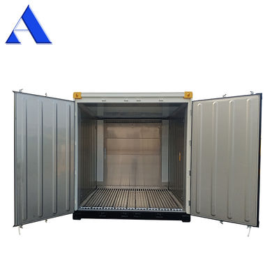 10ft Offshore Refrigerated Container CSC/BV Certificates Made of Steel and Aluminium with Aluminium T-Bar Floor