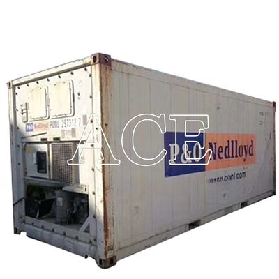 20ft Second Hand Refrigerated Freezer Minus 18 Degree Reefer Container in Dubai Door Opening 2290 x 2246 MM Age 2004-2008