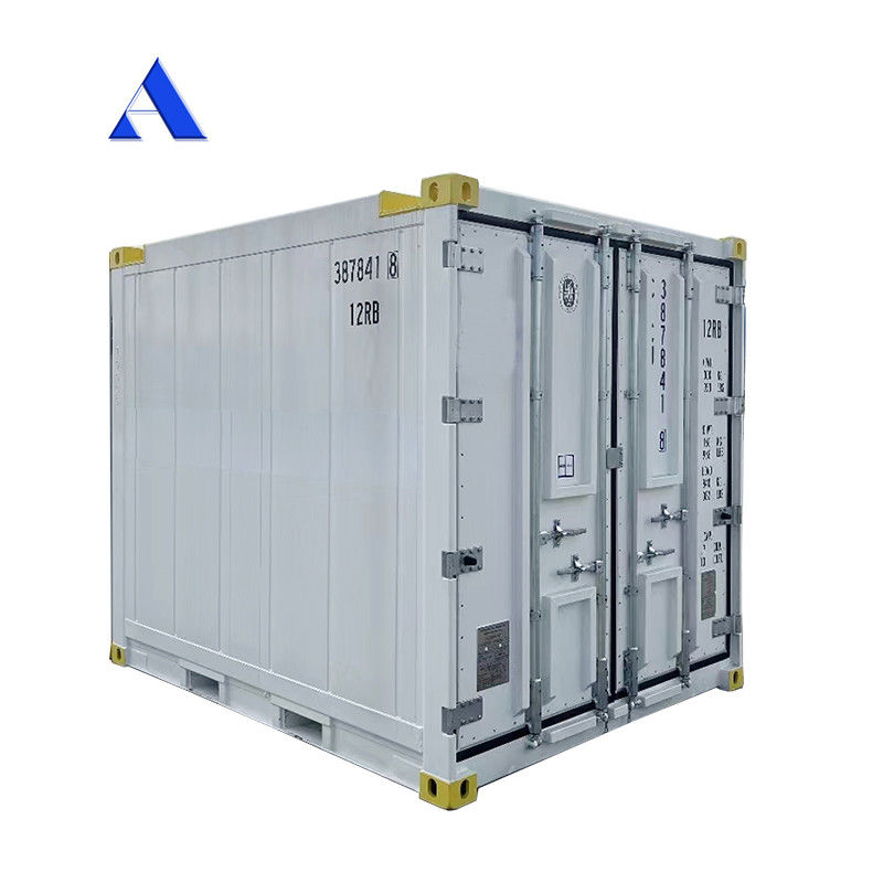 10 Feet DNV 2.7-1 Standard Container Freezer Frozen Offshore Refrigerated Reefer with CSC Certificate and Sling Leg Angle Max 45 degree
