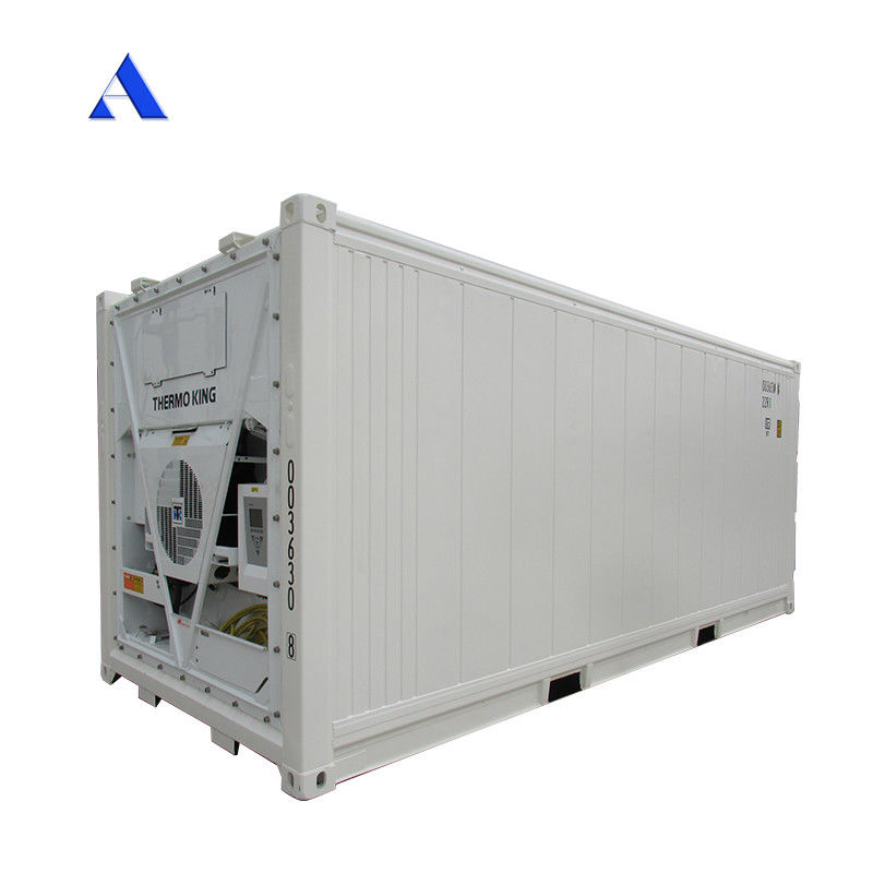 20ft Reefer Container Thermo King Refrigerated Cooler with External Dimensions 606*244*259mm and 32CBM Capacity