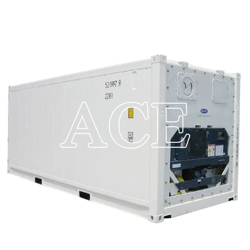 20ft Reefer Container Carrier Refrigerator Freezer or Frozen Dual Purpose with Internal Dimensions