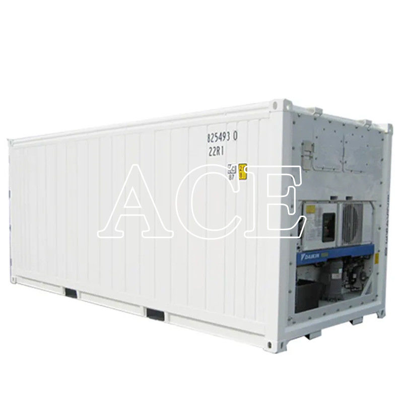 20ft Corten-A Refrigerator Reefer Container in Dubai Ideal for Freezer Fish and Meat Transport