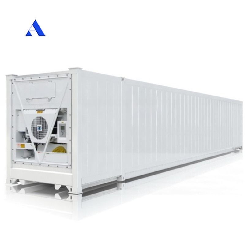 53ft Refrigerated Freezer Cold Storage Room 53 feet 53 ft Reefer Containers in Dubai Lowest Temperature -30 C