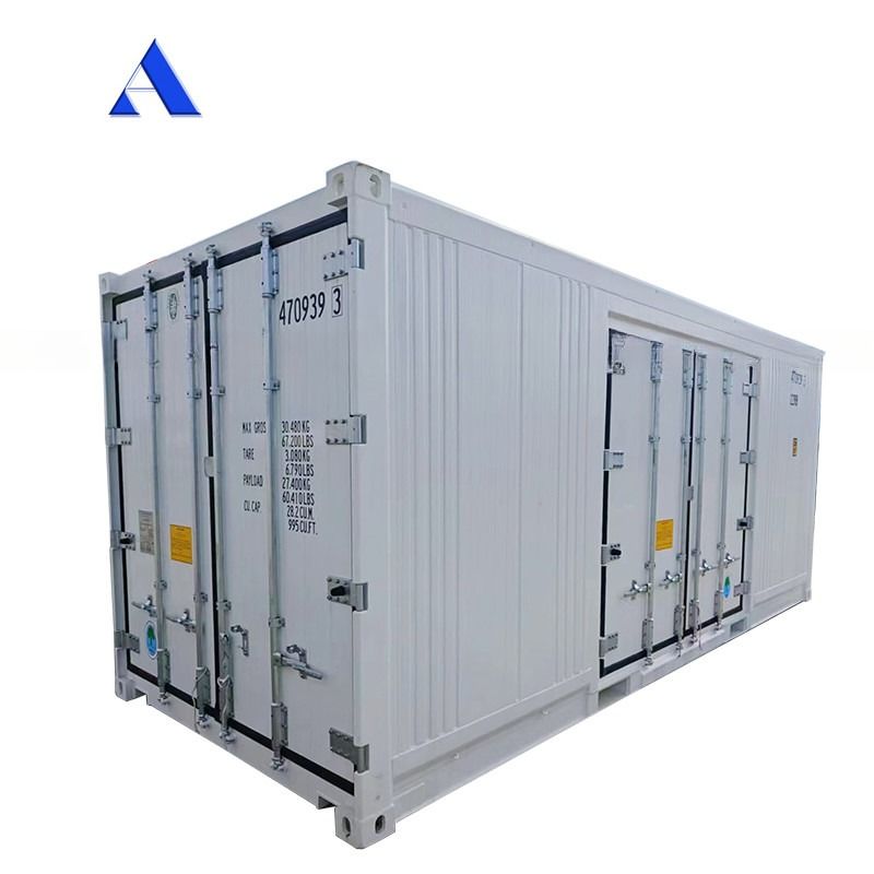 Carrier Cooler 20ft Reefer Container with Side Door Aluminum Bottom Thermo King Refrigerated Freezer