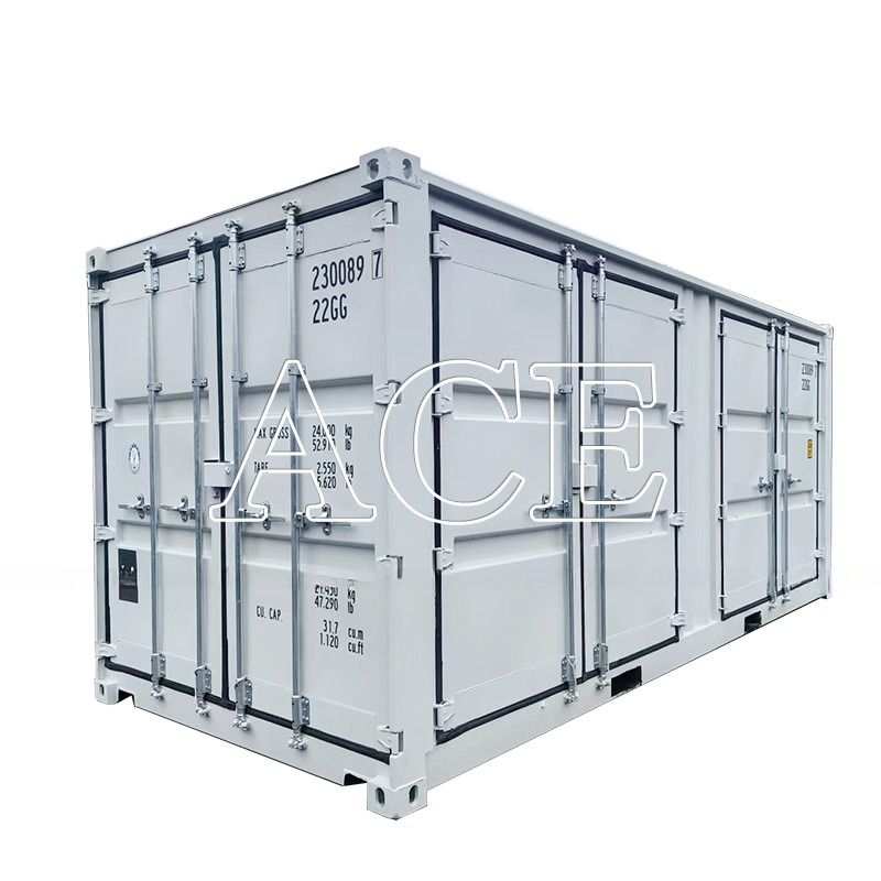 21 Ton Payload 20ft Open Side Dry Cargo Container with Multi-Sided Doors and Corrosion-Resistant Material