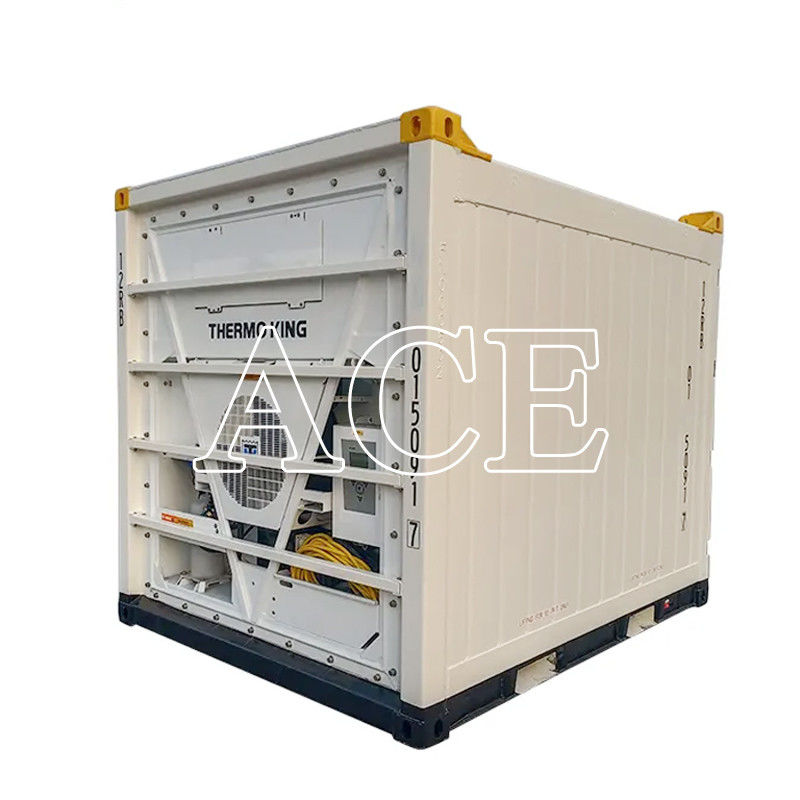 10ft Offshore Refrigerated Container CSC/BV Certificates Made of Steel and Aluminium with Aluminium T-Bar Floor