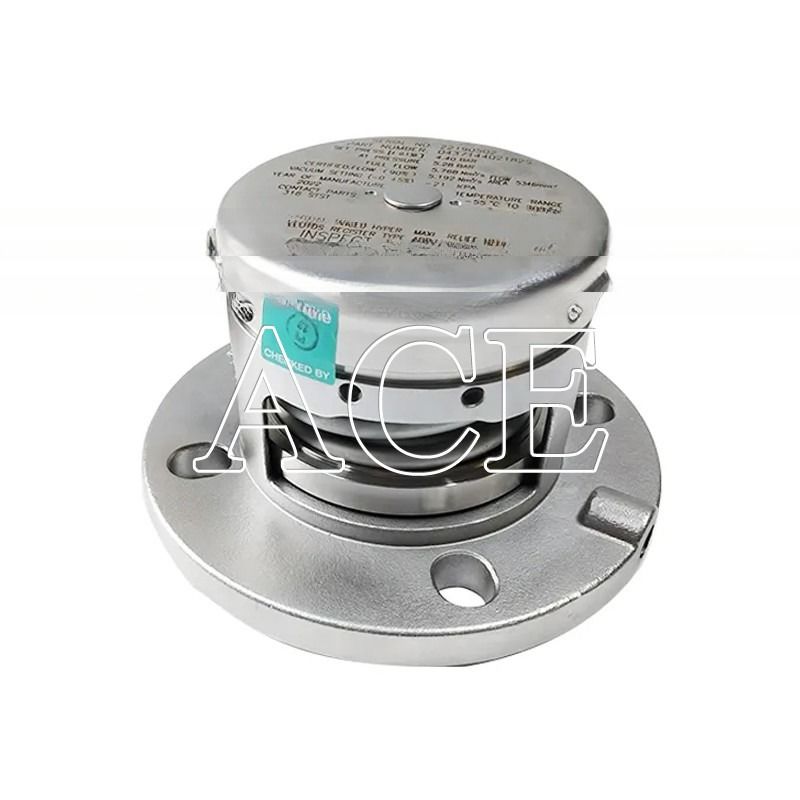 Stainless Steel 2.5'' BSP Flanged Pressure Safety Relief Valve for Air Vacuum Release Valves in ISO Tank Container Parts