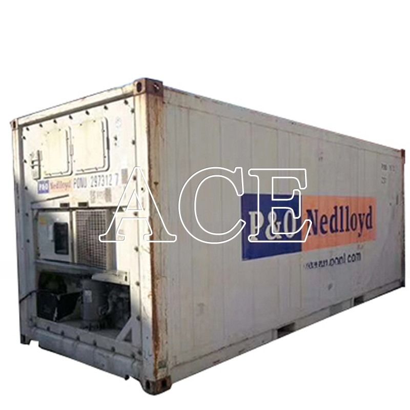 20ft Second Hand Refrigerated Freezer Minus 18 Degree Reefer Container in Dubai Door Opening 2290 x 2246 MM Age 2004-2008